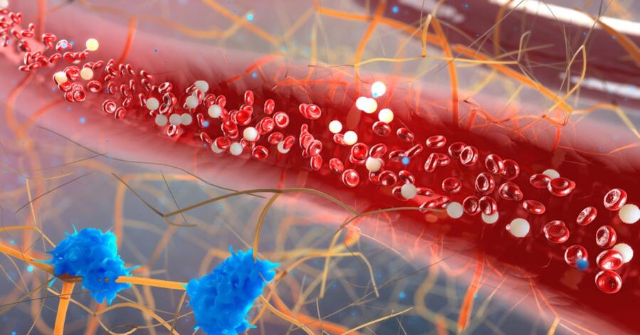 the bloodstream of smoking cessation